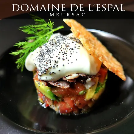 Hotel Domaine De L'espal Meursac