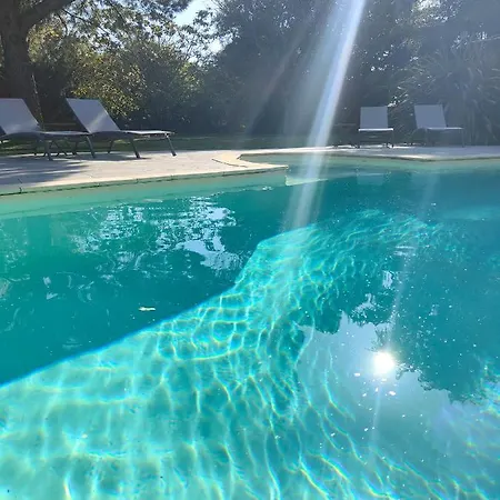 Domaine De L'espal *