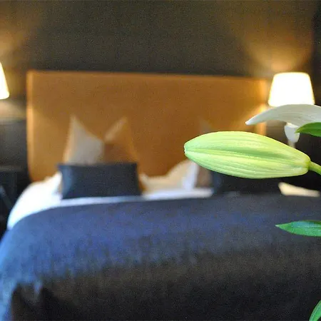 Hotel Domaine De L'espal Meursac