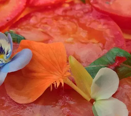 Hotel Domaine De L'espal Meursac