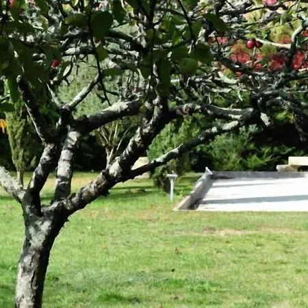 Domaine De L'espal *