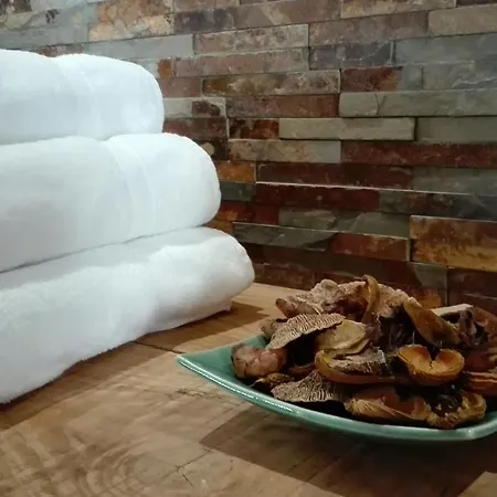 Hotel Domaine De L'espal *