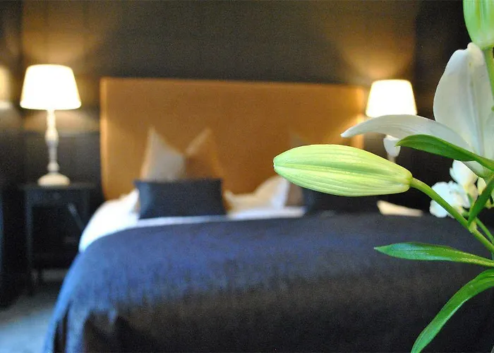 Hotel Domaine De L'espal Meursac