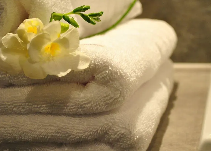 Domaine De L'espal Meursac