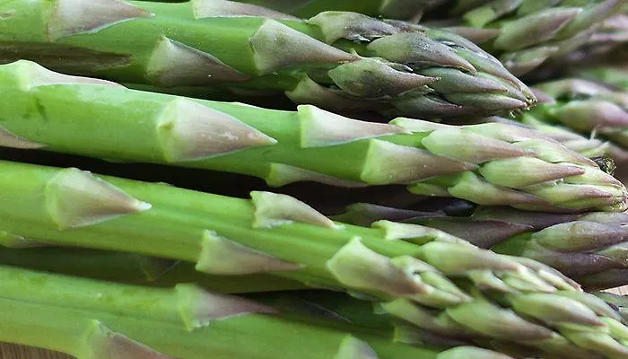 Hotel Domaine De L'espal *