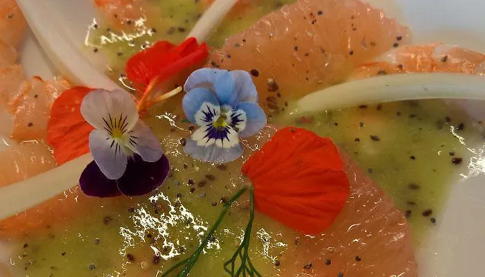 Hotel Domaine De L'espal *