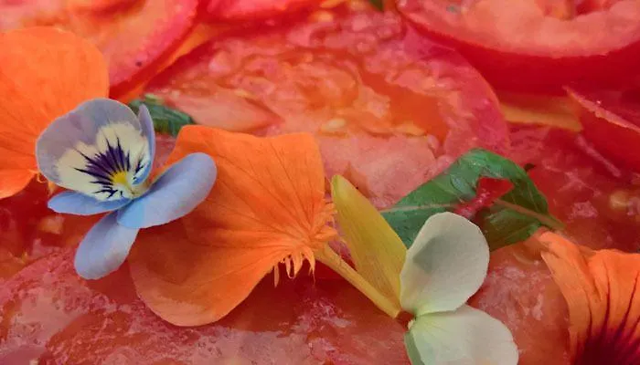 Hotel Domaine De L'espal Meursac