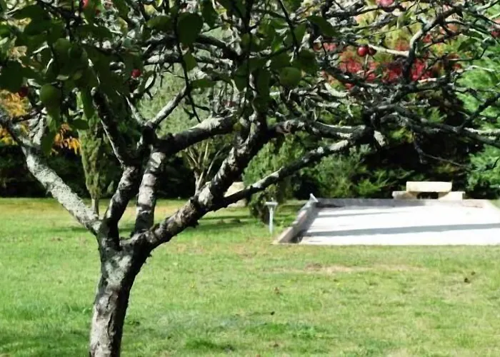 Domaine De L'espal *