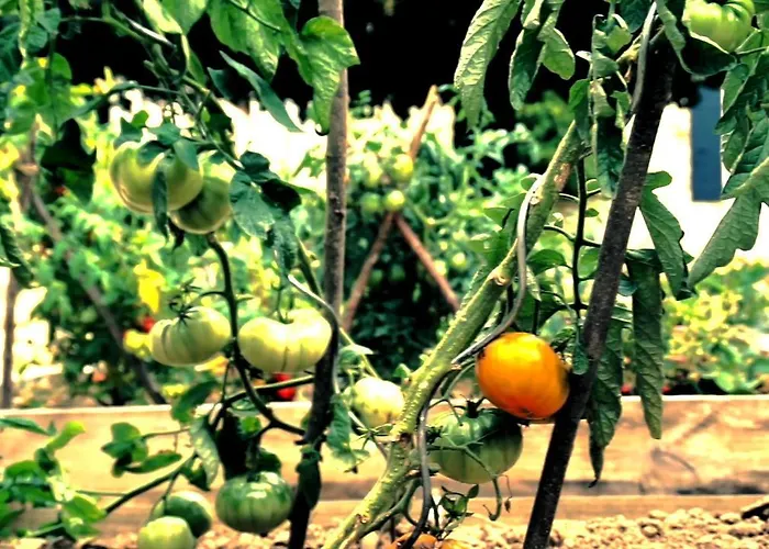 Domaine De L'espal * Meursac